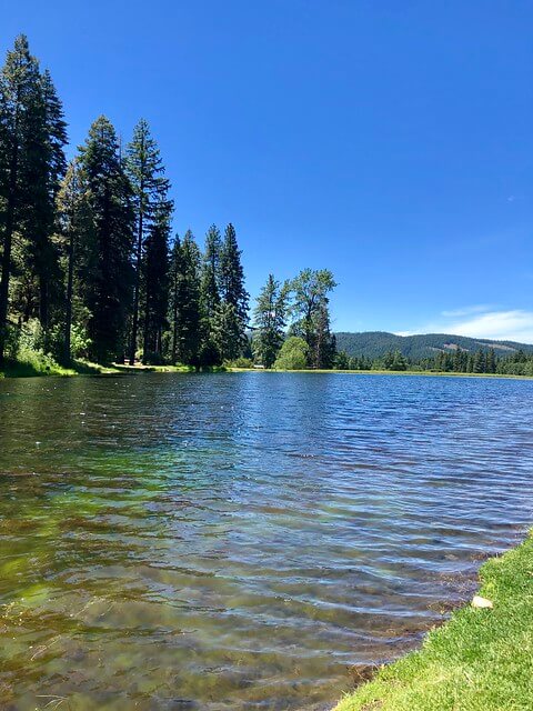 trout pond, greenhorn ranch pond, plumas county california