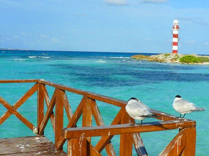 Hyatt Ziva Cancun pier