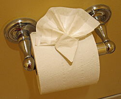 Toilet paper, Watkins Glen Harbor Hotel, Watkins Glen, New York (Photo by Susan McKee)