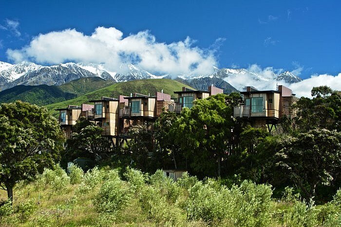 Hapuku Lodge Treehouses in Kaikoura, New Zealand, eco-retreat, sustainable