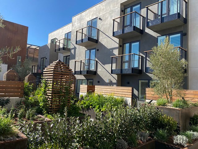 Hotel Cerro edible garden with hotel balconies in background. 