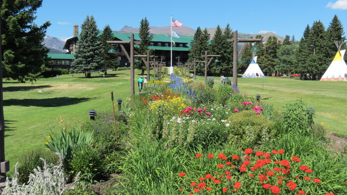 Glacier Park Lodge Flowers