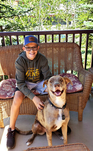 Antlers at Vail offers pet-friendly accommodations. 