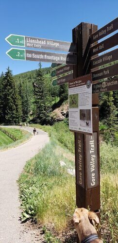 Walk the Gore Creek Trail and explore the pet-friendly Vail VIllages when staying at the Antlers at Vail. 