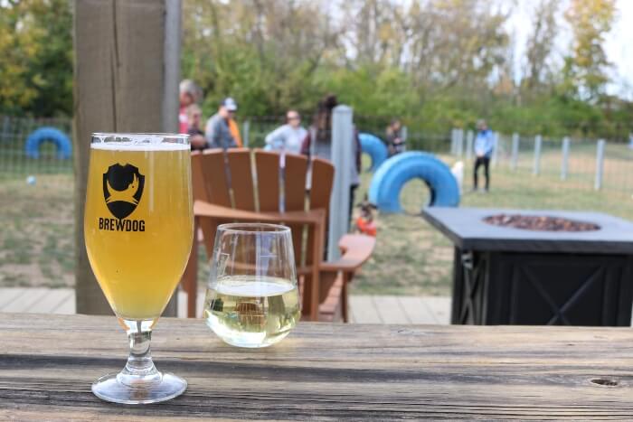 Dog Park at BrewDog