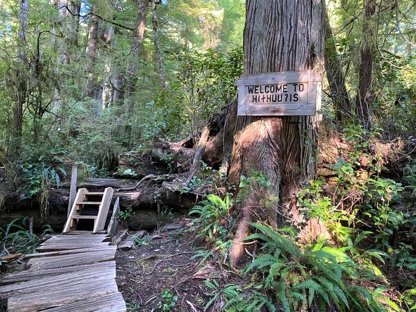 Meares Island, Tofino, BC Canada