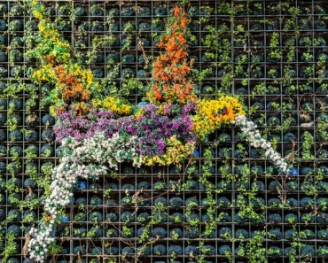 A natural wall decor of plants and flowers is shaped like a Giant Hummingbird