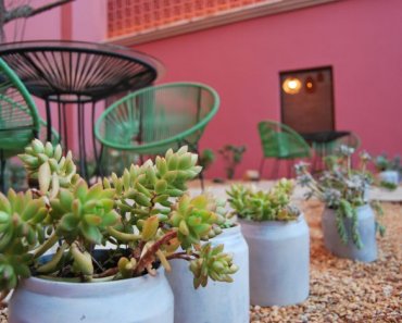 City Centro Oaxaca Hotel, A Colorful Oasis in the Heart of the City