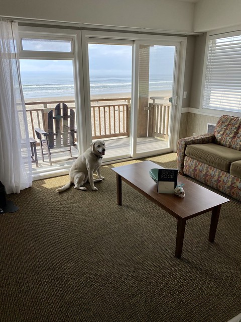 Dog-friendly Surfsand Resort king suite in Cannon Beach, Oregon.