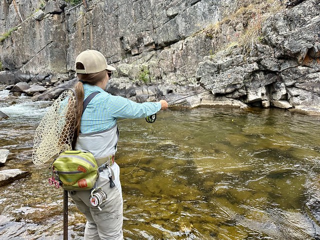 Fly fishing woman has her fly rod in Elk River, Colorado. She has her back to the camera with a fish net and fly fishing pouch tucked behind her. A long, brown pony tail hangs over her fishing waders. 