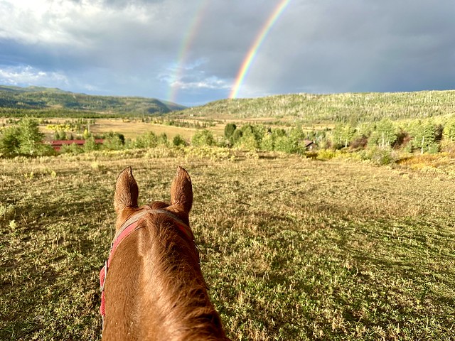 Chestnut-colored horse head with ears perked forward to look at the Colorado Rockies and the double rainbow in the distance. 