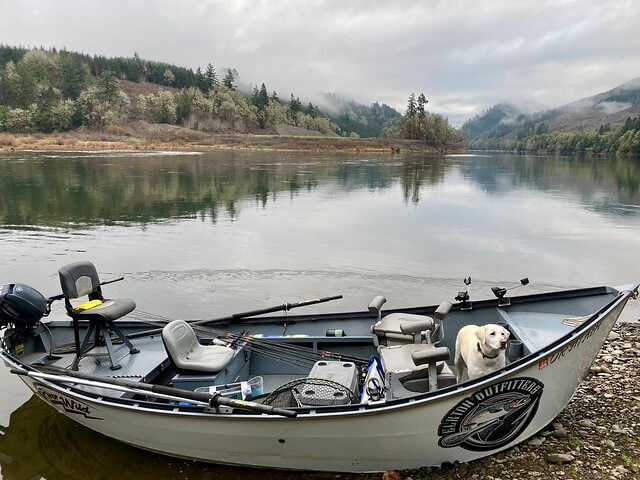 Elkton Outfitters fishing boat and Labrador Retriever wait patiently on the Umpqua River near Roseburg, Oregon. 