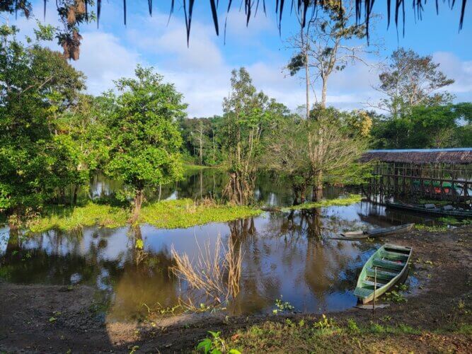 Currasow jungle lodge