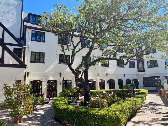 Large tree in front of the Benbow Inn, Tudor stye architecture.