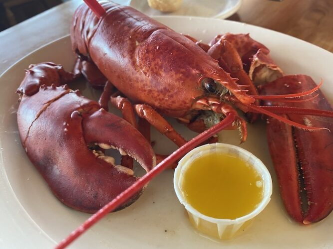 Lobster Prince Edward Island Canada