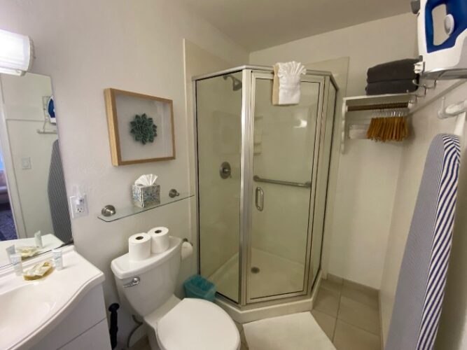 small bathroom in the small room at the Stachlecker House in Napa Valley