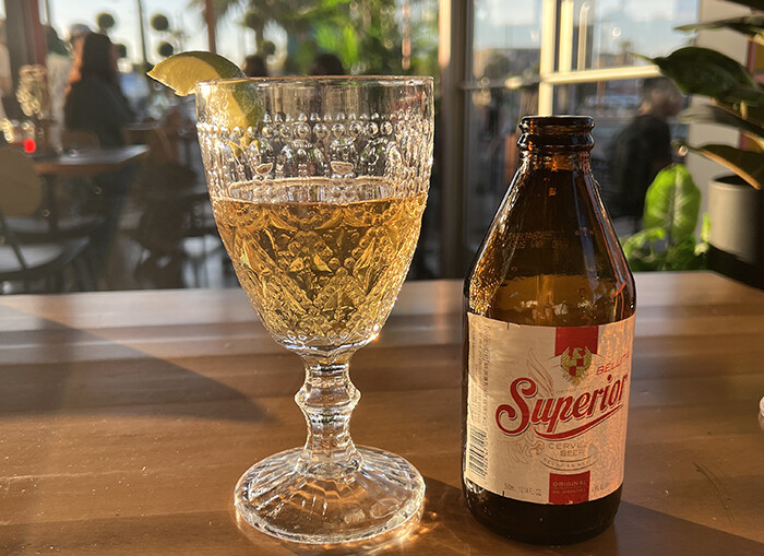 Crystal glass with lime and beer with brown beer bottle.