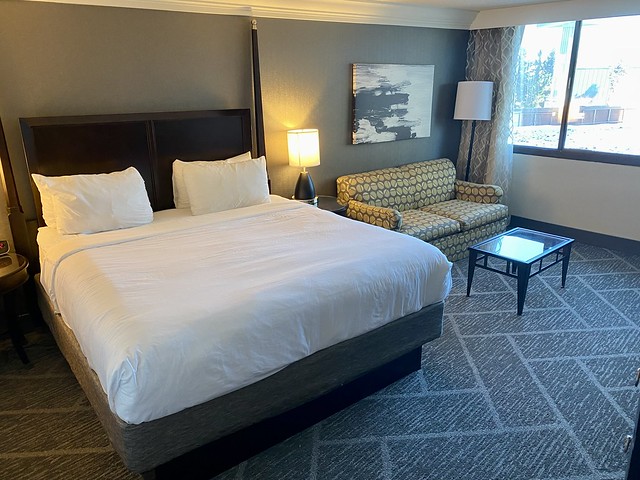 King bed, with white bedding, pillows and headboard. Right of bed is a queen sleeper sofa with olive green geometric circular pattern