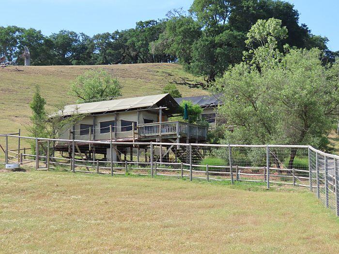 Luxury tent at Safari West