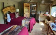 Safari-West-Santa-Rosa-tent-interior-rebmann