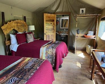 Glamping at Sonoma’s Safari West Wildlife Preserve