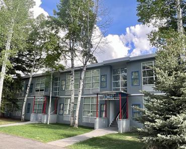 Modern building surrounded by tall green aspen trees with white trunks with blue sky