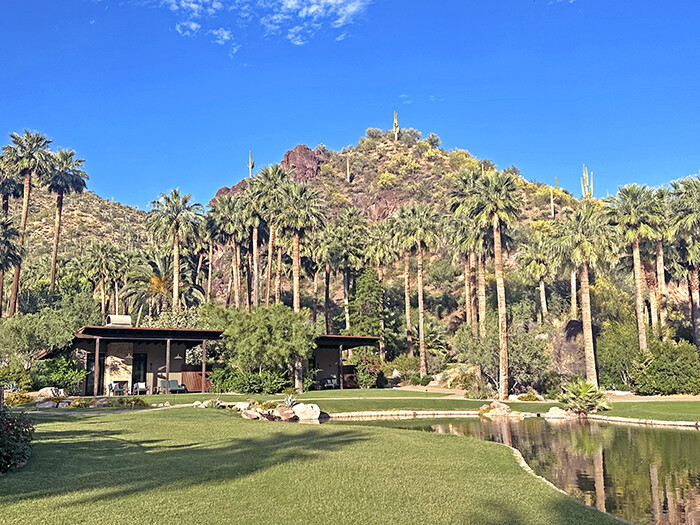 Contemporary style cabins surrounded by palm trees and mountains