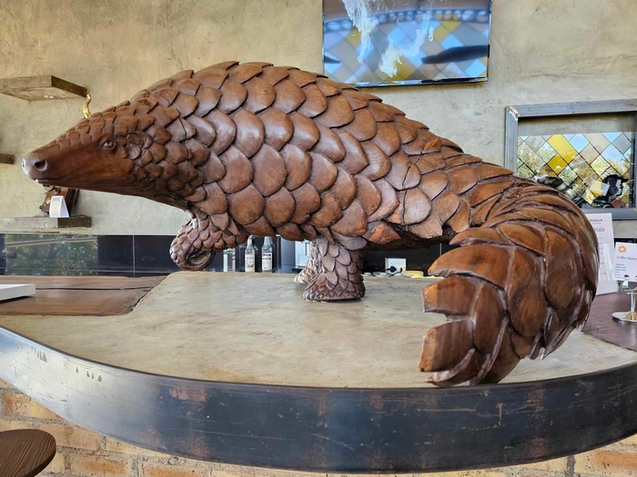 A Wooden Sculpture of the Pangolin in the Lobby of Pangolian Hotel Chobe