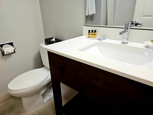 sink and toilet with marble countertop