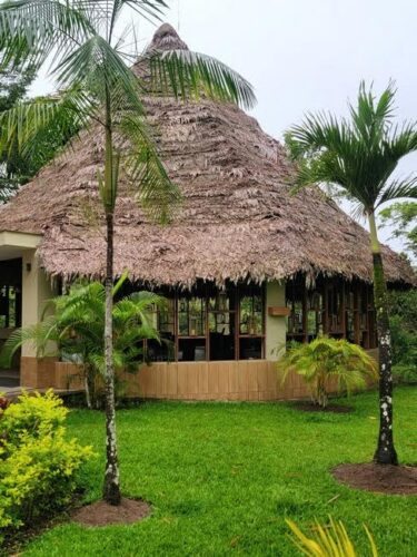 Jungle Lodge with Natural Roof