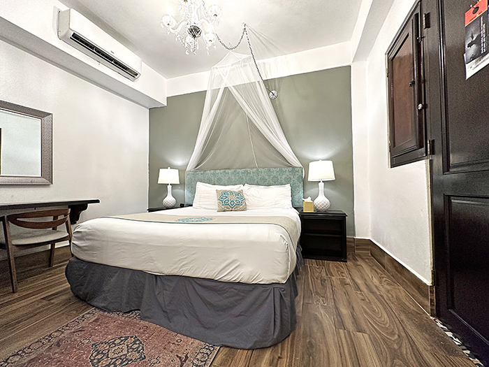 bedroom with queen bed netting and chandelier