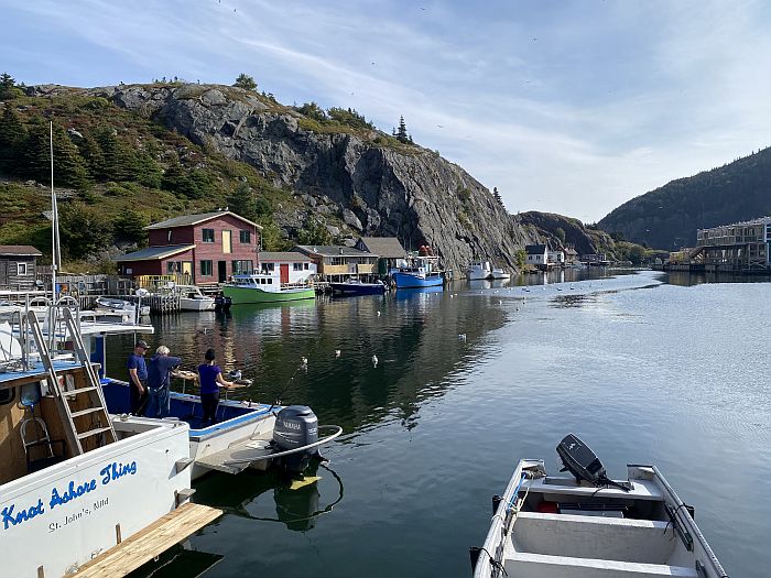 Quidi Vidi fishing village near St John, Newfoundland