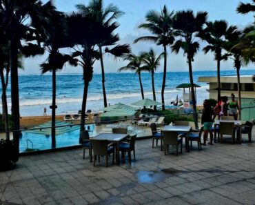 Outdoor pool and ocean with swaying palm trees