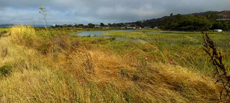 Corte Madera Marsh State Marine Park