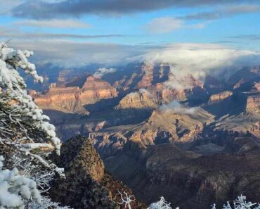 National Park Ambiance at Grand Hotel at the Grand Canyon