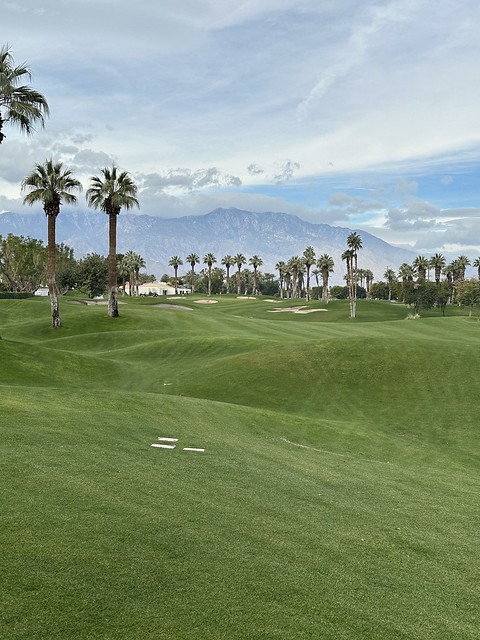 Rolling, green fairways and palm trees lead into the Santa Rosa Mountains at Palm Desert in California. 