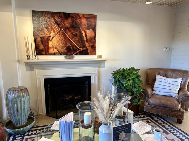 Spa reception area with fireplace. A water fountain element is to the left of the fireplace. Above the fireplace is a photo of a horses head, wearing a rope halter. A cluttered, glass, circular table holds 2 glass hurricane candles, paper brochures describing spa treatments and a mug of tea. To the right of the fireplace is a healthy green indoor plant and brown leather chair with pillow. 