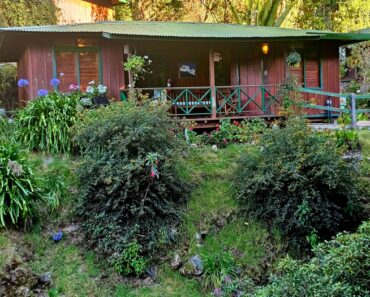 Cabin at Trogon Lodge