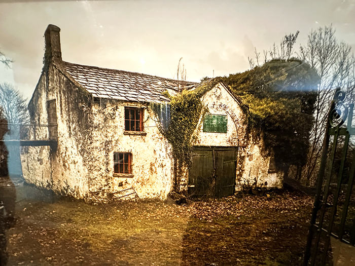 Vintage photograph of coach house prior to restoration shows dilapidated stone building covered in vines and no windows