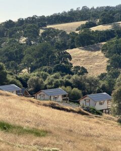 Glamping tents , Wildhaven Yosemite