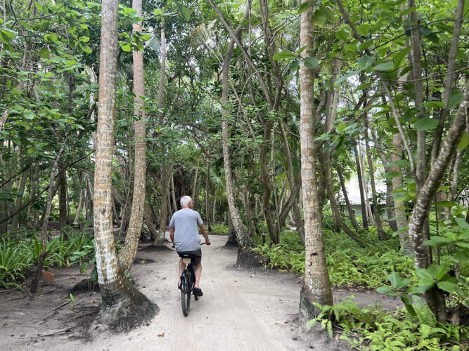 Man in t-shirt and shorts on a bicycle riding through lush tropical forest.