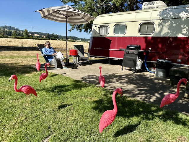 Travel Writer Nancy D. Brown is seated in an Adirondack chair beside the vintage trailer. She had purchased the "Flock It To Me" add-on and was surrounded by plastic pink lawn flamingos. 