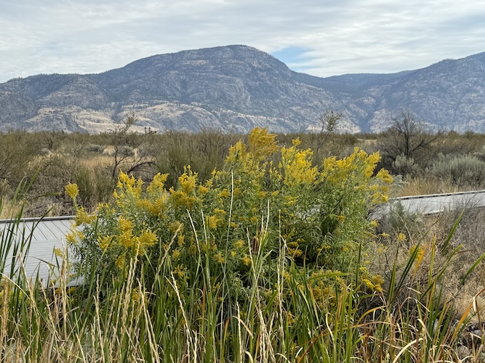 Osoyoos Desert Centre, Osoyoos, British Columbia, Canada