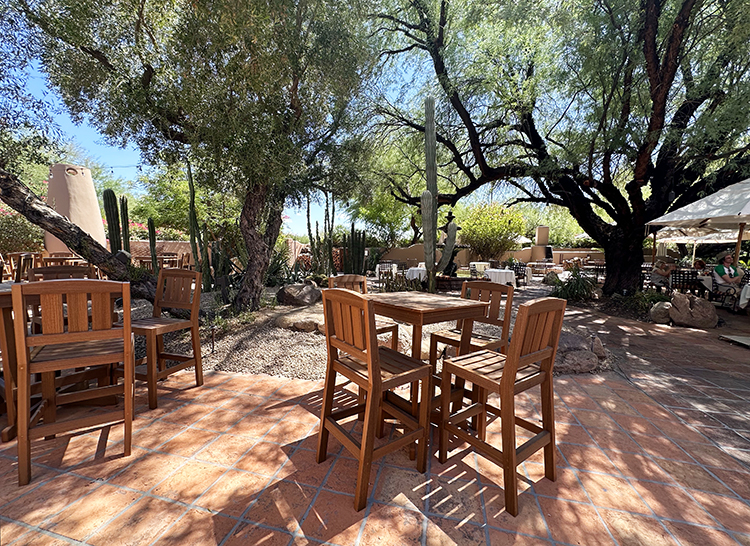 An outdoor dining patio surrounded by large mesquite trees, towering saguaro cactus and beehive fireplaces