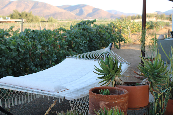 San Diegan valle de guadalupe finca altozano